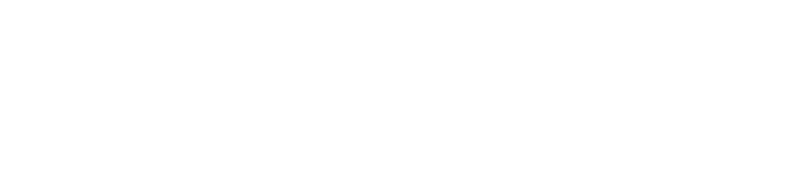 logo footer